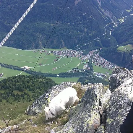 Апартаменты Apart Streppel *