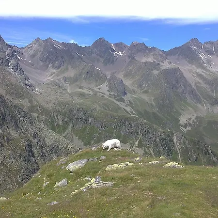 Apart Streppel Апартаменты Лангенфельд